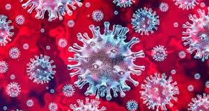 A Canadian Company Has Started Human Trials For A Plant-Based COVID-19 Vaccine