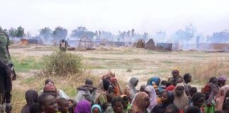 Boko Haram: IDPs, residents scamper for safety in Borno as sporadic gunshots rent the air