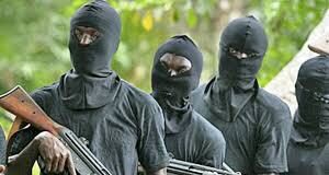 Tired of Intimidation And Destruction, Youths Take On Terrorists In Katsina