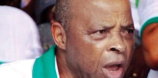 Transform Amotekun, Hisbah, others to State Police, General Akinrinade advises FG