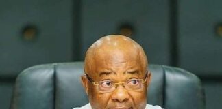 Ruga births in Imo State as Uzodinma donates land to FG