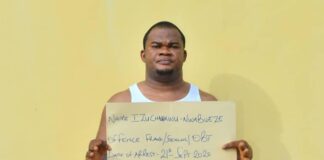 Serial fraudster, Ichie Izuchukwu Nwabueze, nabbed, paraded in Anambra