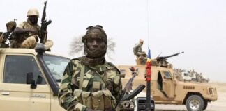 Zulum Asks FG to Reinvite Chadian Soldiers to Borno