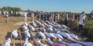 Zabarmari Massacre: Targeting farmers is cowardly ploy to detract troops momentum, says group