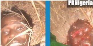 War on Terror: Troops Kill Abul-Bas, Ibn Habib, Boko Haram Factional Commanders