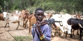 Farmers displaced by herders conflict in North Central Nigeria share their coping strategies