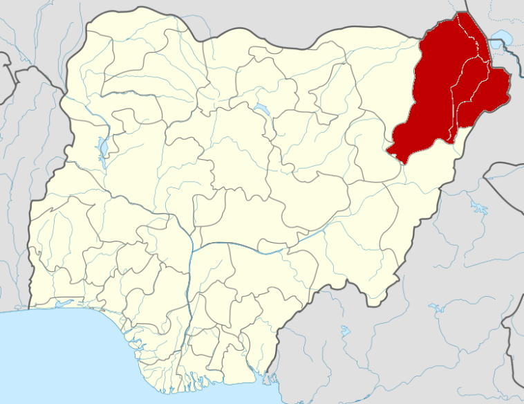 OPERATION HADIN KAI: Setting the records straight on Borno’s Security reality, by Bukar Babagana