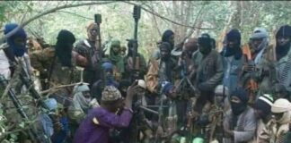 Four bandits killed in ambush in Chikun and Birnin Gwari LGAs of Kaduna State