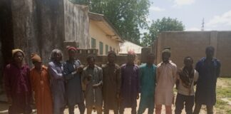 War on Terror: More terrorists lay down arms as troops sustain air, ground bombardments