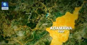 Two Injured as Youth Clash with Customs Officers in Adamawa