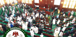 Oil Thieves Behind Organized Campaign of Calumny Against Naval Chief, Says Enugu Reps Caucus