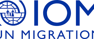 Fraud, mismanagement rock INGO’s IDP cash assistance efforts in Bama