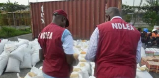 NDLEA intercepts N3.3bn worth of cannabis at Lagos seaport, arrests suspects
