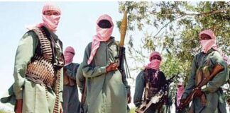 Two notorious bandits neutralized in Katsina forest by troops of Operation FANSAN YANMA