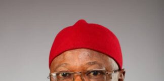 Tinubu Evolving New Approach To End Killings – Ambassador Eze