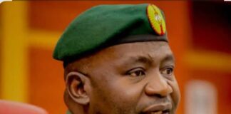 African Security: Nigeria Leads from the Front, by Edward Gabkwet