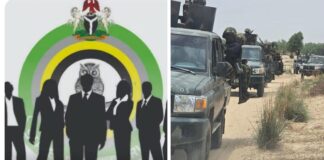 Security forces quell clash between vigilantes, cattle herders in Gubio