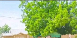Three killed, others injured in bandits’ attack on Zamfara community