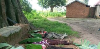 Adara Development Association Condemns Attacks on Wakeh Community in Kachia LGA