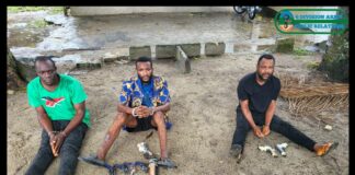 Troops Dismantle Gunrunning Syndicates, Arrest 35 Suspects in Ongoing Niger Delta Operations