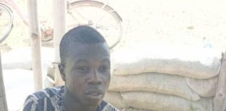 Troops arrest logistics, drug suppliers to terrorists in Ngala