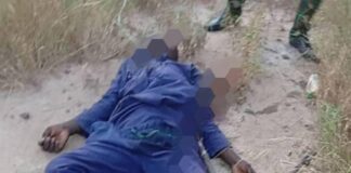 Troops neutralise five terrorists in Borno