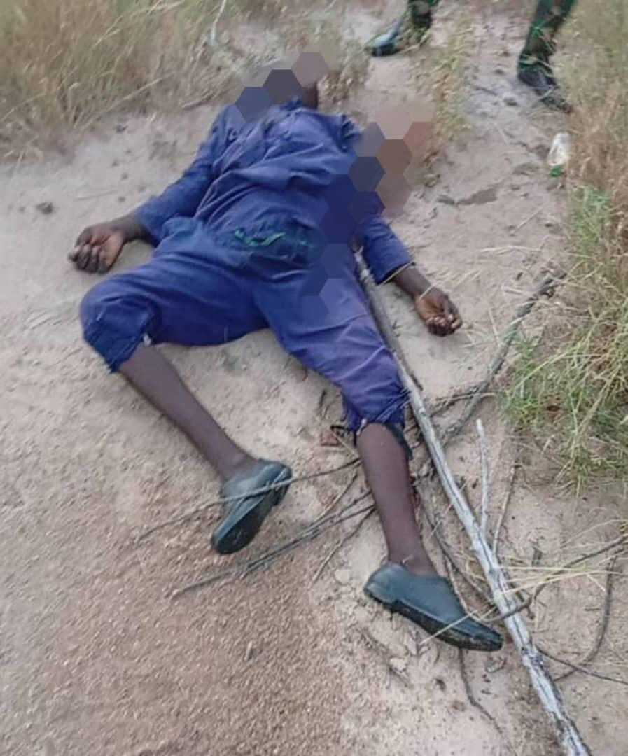 Troops neutralise five terrorists in Borno