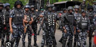 Police kill Two Bandits in Zamfara Ambush