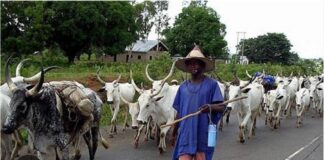 Fulani Leaders fault fact-finding as Report uncovers two decades of unprovoked attacks on Fulani settlements across Plateau
