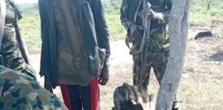 Troops Rescue More Kidnapped Victims, Intensify Onslaught Against Bandits in Kwara