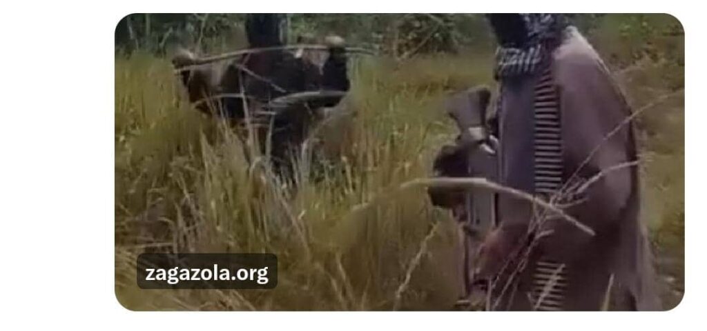 IPOB  staged video in attempts to frame herders, incite genocide narrative