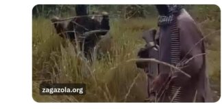 IPOB staged video in attempts to frame herders, incite genocide narrative