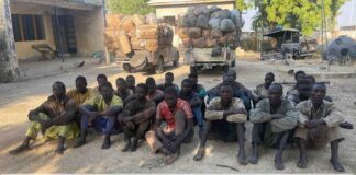 Troops arrest 22 suspected terrorist logistics suppliers in Mafa, seize smoked fish consignment