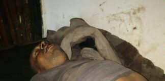 Young fulani man killed, six cows poisoned in separate farmland incidents in Plateau state
