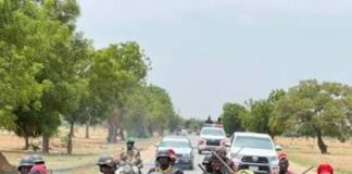 Three suspected bandit financiers arrested, four rustled cows recovered in Sokoto