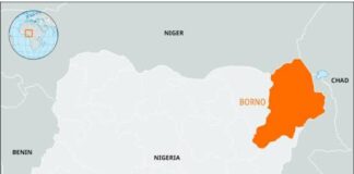 Bomb explodes inside mosque in Maiduguri market, worshippers killed