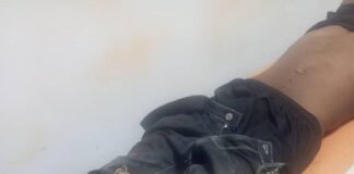 Five Fulanis shot by suspected Berom militias in Plateau
