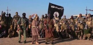 Troops neutralise ISWAP fighter in Borno ambush operation