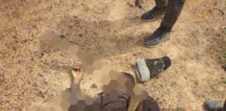 Troops repel Boko Haram/ISWAP ambush in Borno, kill 10, recover arms