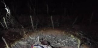 Troops neutralise bandit, recover arms in Plateau raid