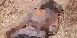 Troops neutralise eight terrorists in Kayamla, Sojiri villages in Borno