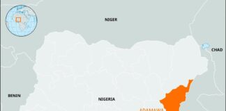 One suspected kidnapper killed, AK-47 recovered in Toungo gun battle in Adamawa