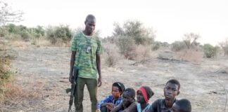 DSS, forest guards rescue 7 abducted victims from ISWAP enclave in Borno