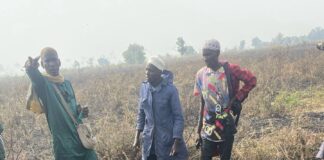 Fulani man ambushed and killed by Tiv militia in Benue