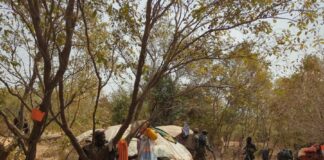 Troops Neutralise Six Terrorists, Rescue Kidnapped Minor in Zamfara Offensive