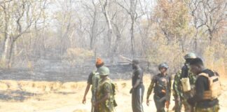 Troops clear suspected terrorist route, neutralise IED in Borno