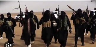 OPINION: Growing ISWAP–ISIS ties in Sahel after Niamey attack threaten Lake Chad and West African security corridor