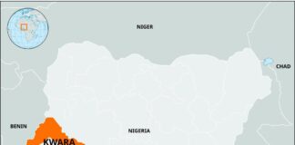 Police arrest 19 suspected bandits, recover 370 cows, 58 goats in Kwara