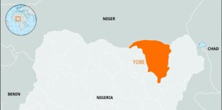 Vigilante shoots two men in Yobe