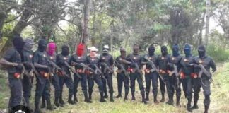 Three suspected IPOB/ESN militants neutralized in Nnewi during anti-sit-at-home patrol in Anambra